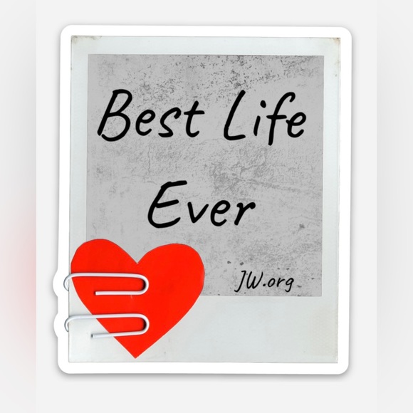 Meet your Posher, Holly - Picture 7 of 7